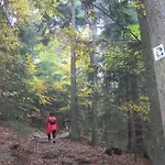 Feriegård Gschwandnerhof *