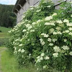 Feriegård Gschwandnerhof Michelsneukirchen