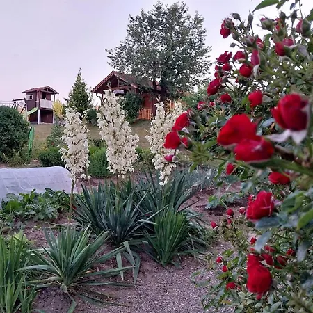 Gschwandnerhof Agroturismo *