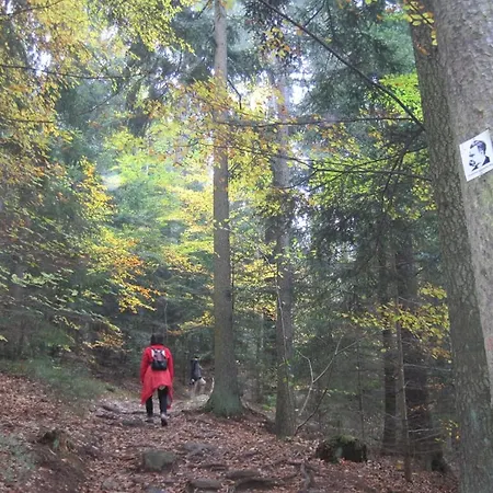 Bauernhof Gschwandnerhof *