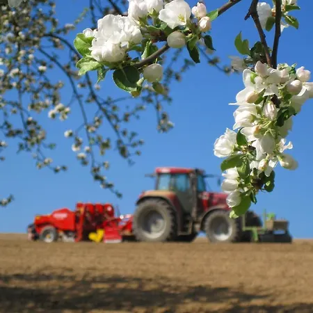 Agroturismo Gschwandnerhof Michelsneukirchen