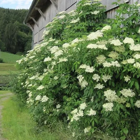 Bauernhof Gschwandnerhof Michelsneukirchen