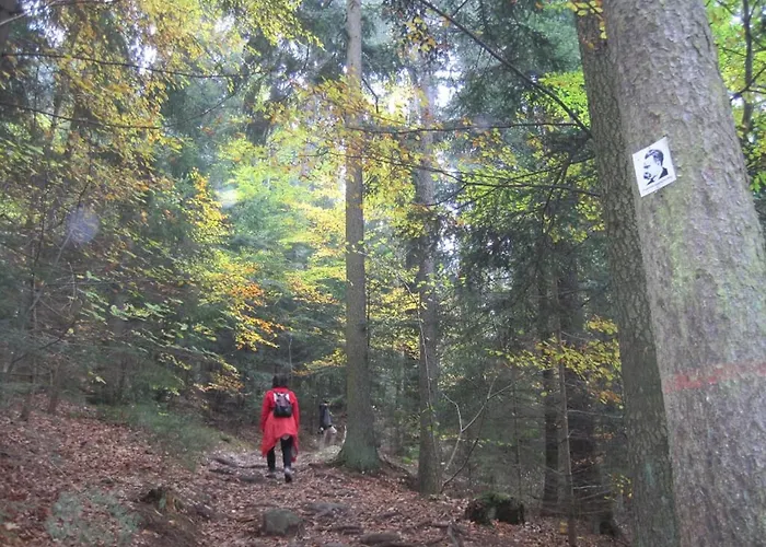 Bauernhof Gschwandnerhof *